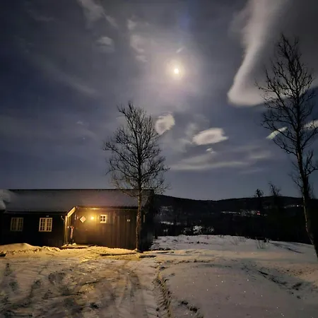Mountain With Views Over Storevann Feriehus *