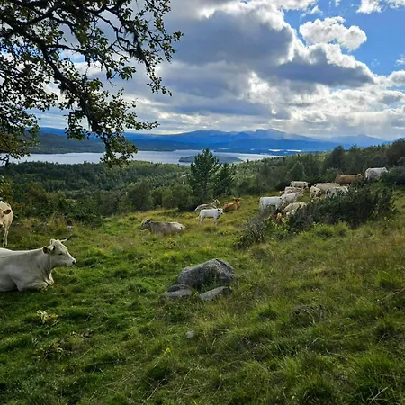 Mountain With Views Over Storevann Ferienhaus *