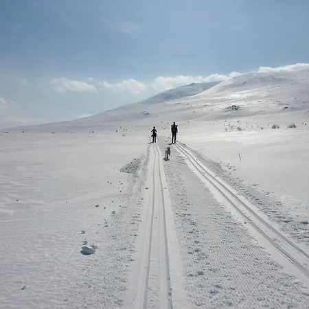 Mountain With Views Over Storevann