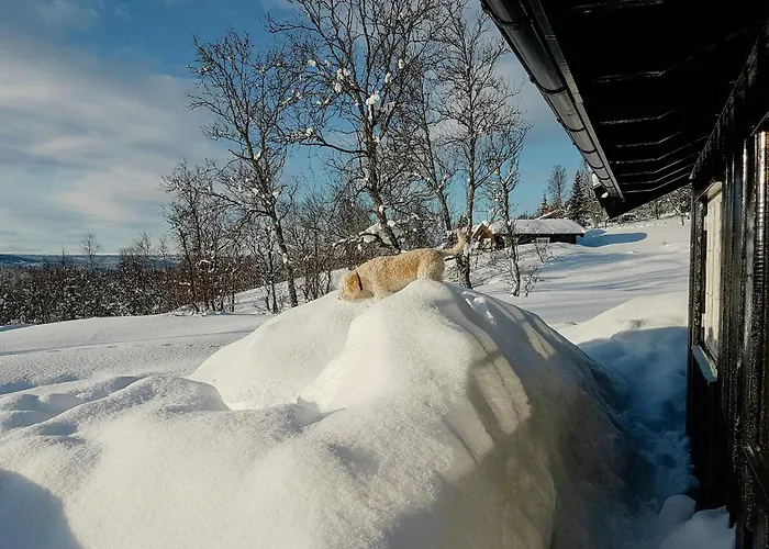 Mountain With Views Over Storevann Сasa de vacaciones *