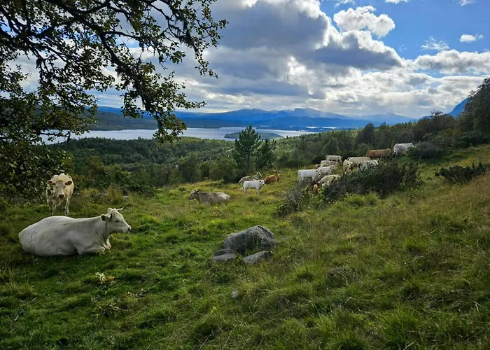 Mountain With Views Over Storevann Semesterbostad *