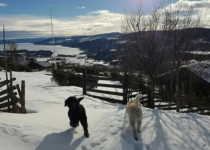 Mountain With Views Over Storevann Hemsedal